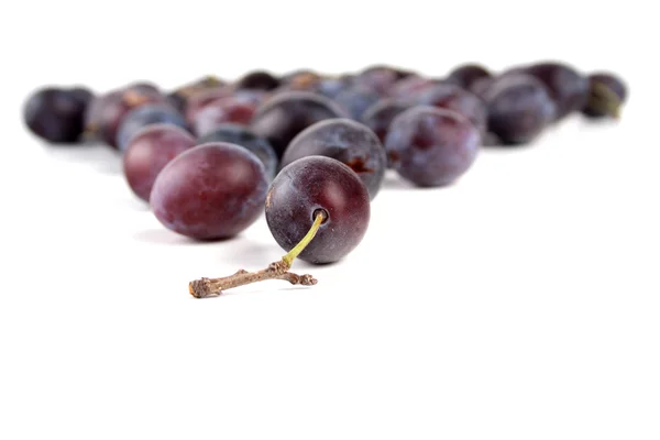 Fresh ripe Plums — Stock Photo, Image