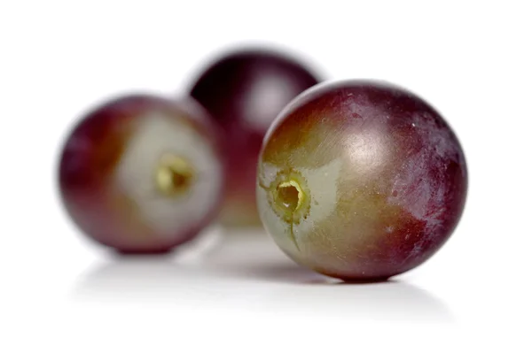 Uvas frescas maduras — Fotografia de Stock