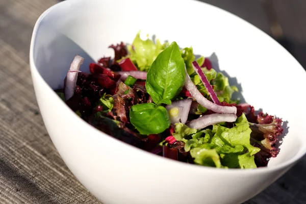 Tasty spring salad — Stock Photo, Image