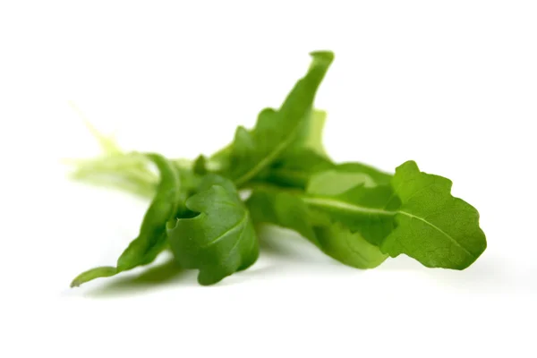 Foglie di rucola fresca — Foto Stock