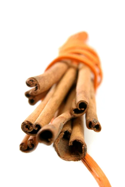 Bunch of cinnamon Sticks — Stock Photo, Image