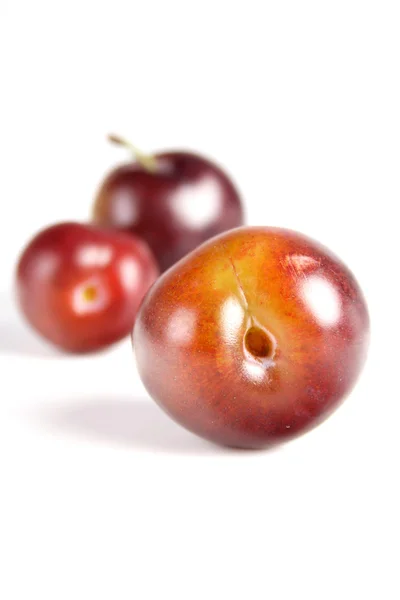 Fresh sweet plums — Stock Photo, Image