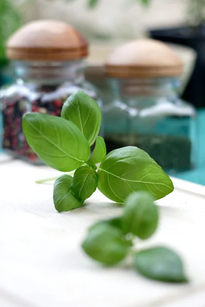 Grünes Basilikum auf dem Schreibtisch — Stockfoto