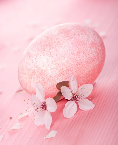 Pink easter egg — Stock Photo, Image