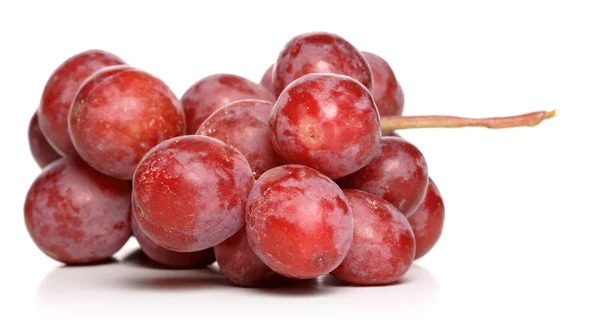 Uvas tintas frescas — Foto de Stock