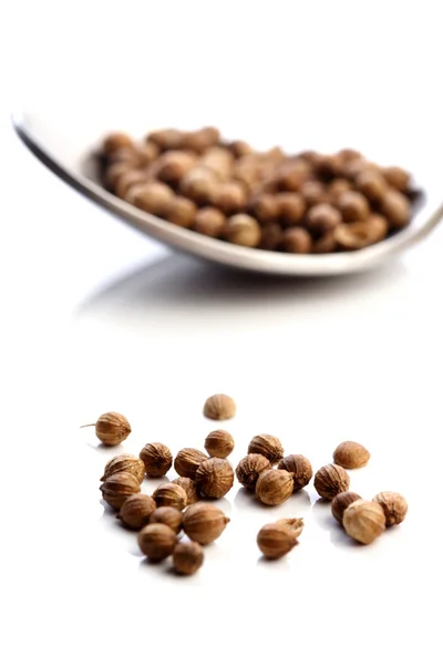 Brown  mustard seeds — Stock Photo, Image