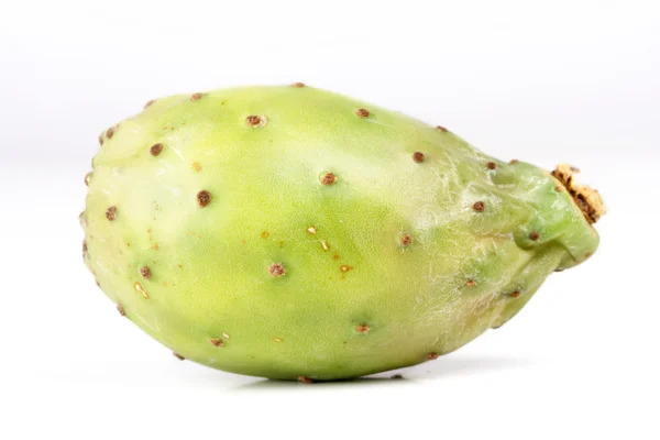 Opuntia ficus-indica — Stok fotoğraf