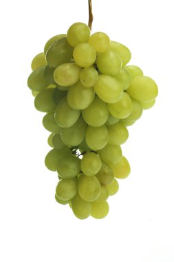 taze olgunlaşmış üzümler