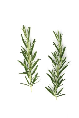 Taze yeşil biberiye