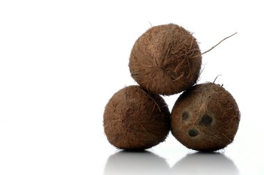 Hindistancevizi üzerinde beyaz artalanları