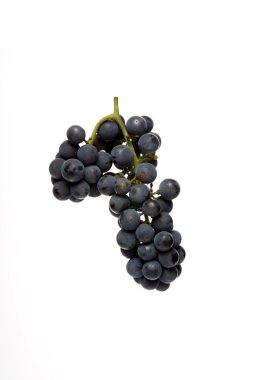 taze kırmızı üzüm