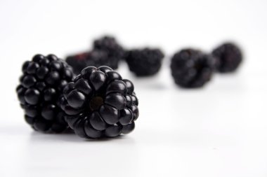 taze olgun böğürtlen