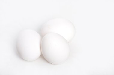 taze beyaz yumurta