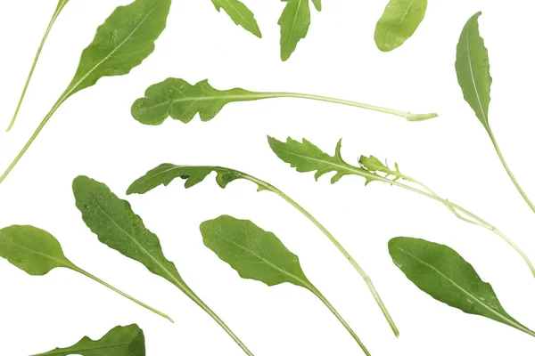 Foglie di rucola fresca — Foto Stock