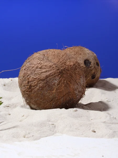 Kokosnüsse auf Sand am Strand — Stockfoto