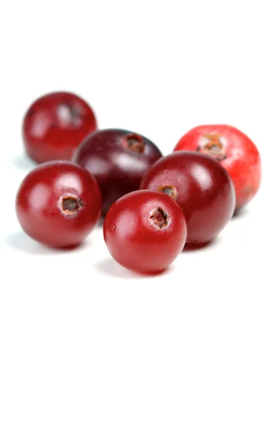Fresh ripe cranberries — Stock Photo, Image