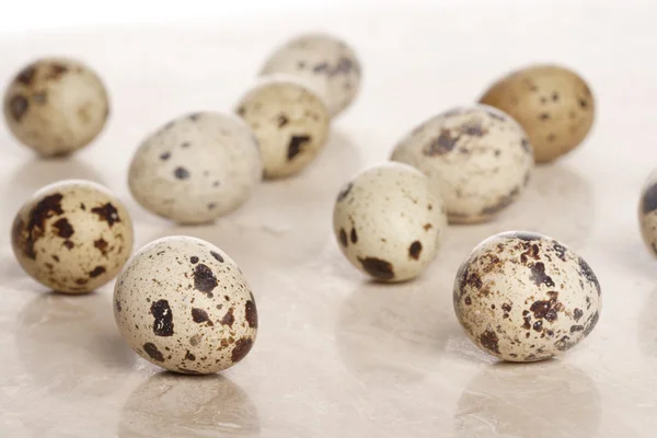 Fresh Quail eggs — Stock Photo, Image