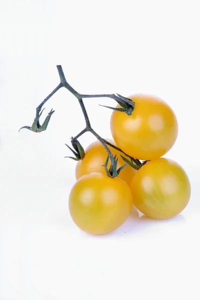 Ώριμες ντομάτες κίτρινο — Φωτογραφία Αρχείου