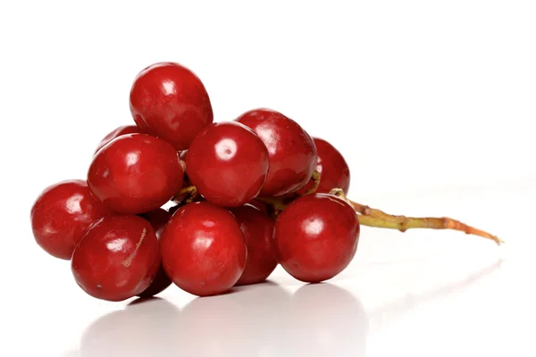 Kırmızı üzüm Şubesi — Stok fotoğraf