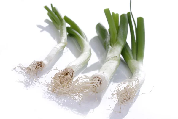 Fresh raw leeks — Stock Photo, Image