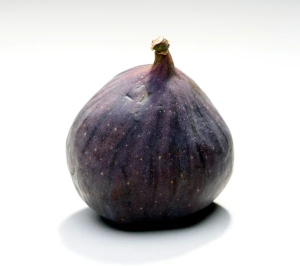 One purple Fig — Stock Photo, Image