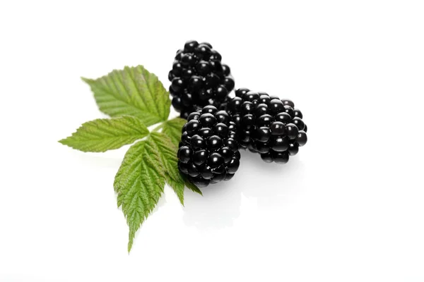 Blackberries with green leaves — Stock Photo, Image