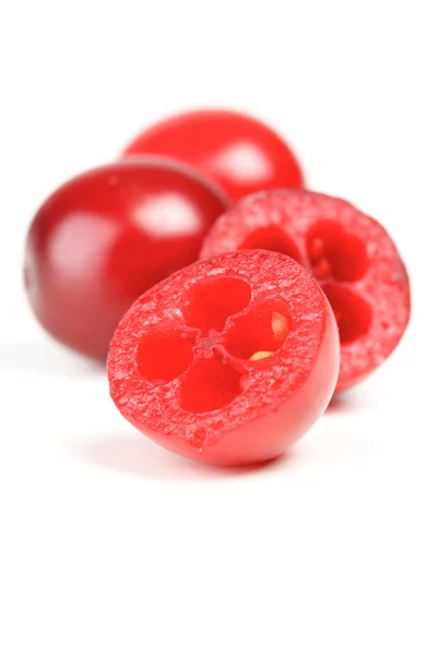 Fresh ripe cranberries — Stock Photo, Image