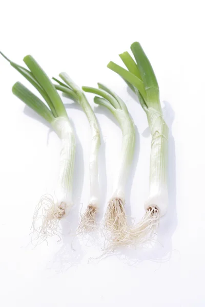 Fresh raw leeks — Stock Photo, Image