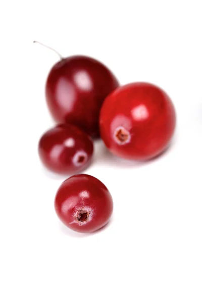 Fresh ripe cranberries — Stock Photo, Image