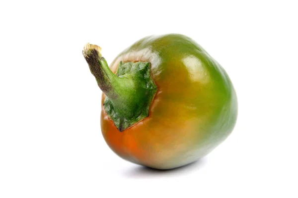 Green chilli pepper — Stock Photo, Image