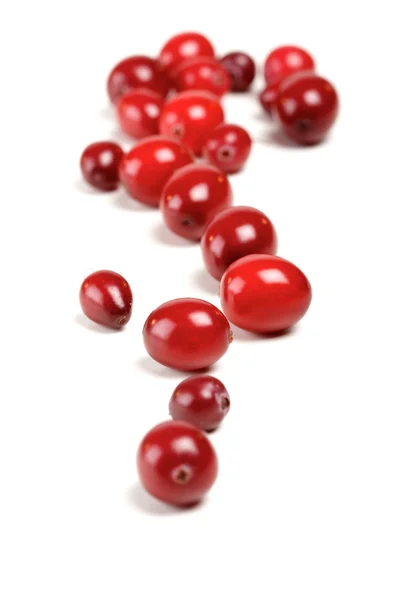 Fresh ripe cranberries — Stock Photo, Image