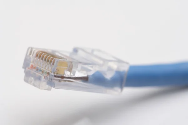 Un cable de red — Foto de Stock