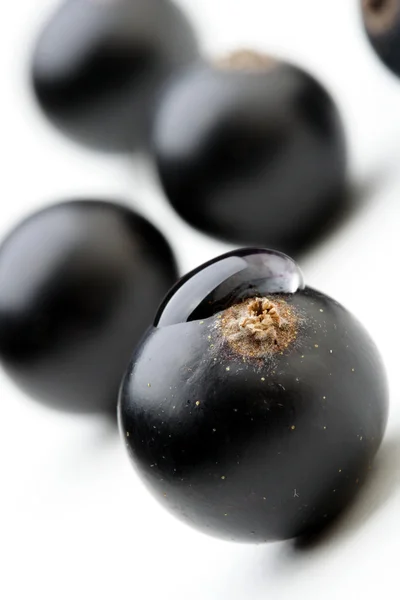 Färska svarta vinbär — Stockfoto