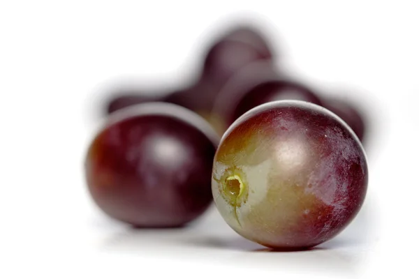 Fresh ripe Grapes — Stock Photo, Image