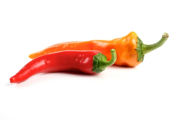 Červené a oranžové chilli papričky — Stock fotografie