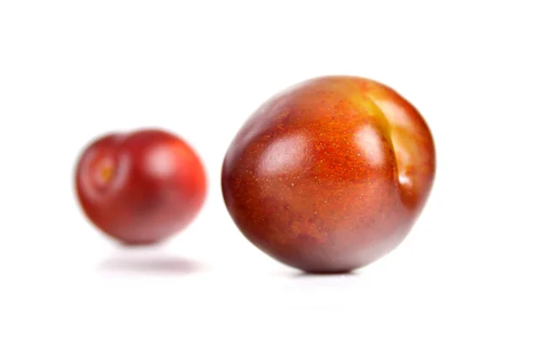 Fresh sweet plums — Stock Photo, Image