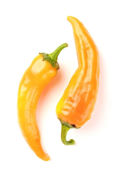 Oranžový chilli papričky — Stock fotografie