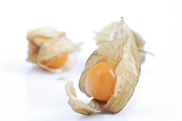 Physalis frukter på vit bakgrund — Stockfoto