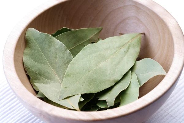 Green Laurer leaves — Stock Photo, Image