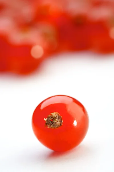 Fresh  red currants — Stock Photo, Image