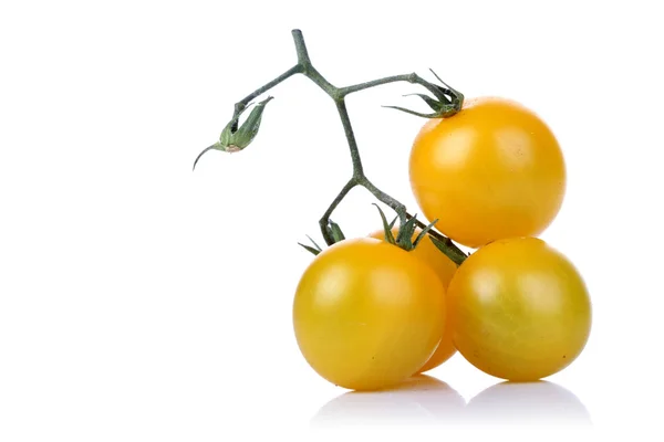 Спелые желтые помидоры — стоковое фото
