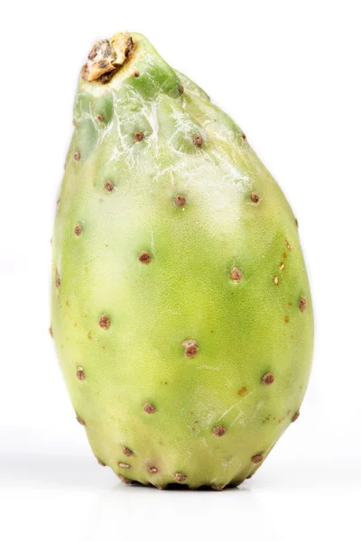 Opuntia ficus indica — Photo