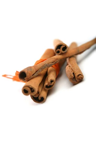 Bunch of cinnamon Sticks — Stock Photo, Image