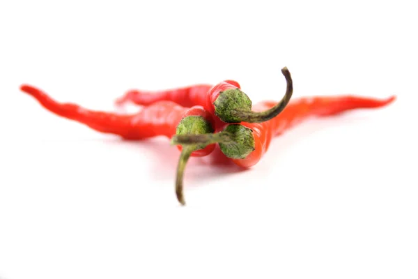 Rote Chilischoten — Stockfoto