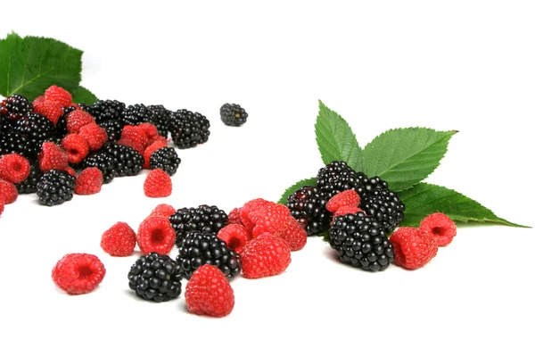 Fresh Raspberries and blackberries — Stock Photo, Image