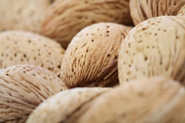 Natural   almonds in shell — Stock Photo, Image