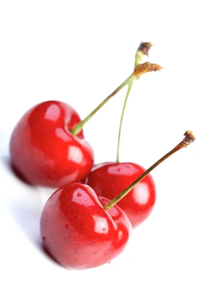 Cerezas dulces frescas — Foto de Stock