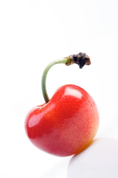 Fresh ripe cherry — Stock Photo, Image