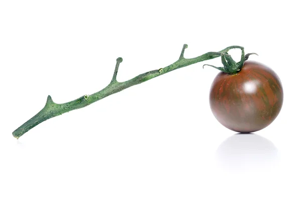 Спелые чёрные томаты — стоковое фото