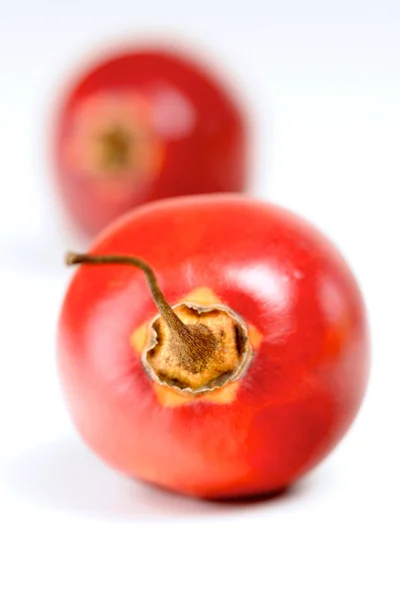 Frutos de tamarillo frescos — Fotografia de Stock